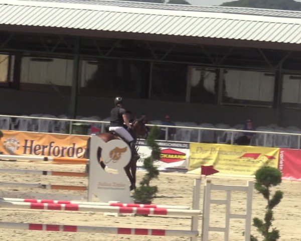 Reitturnier Vlotho-Exter 2025