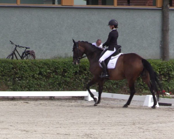 Reitturnier Neustadt/Dosse 2025