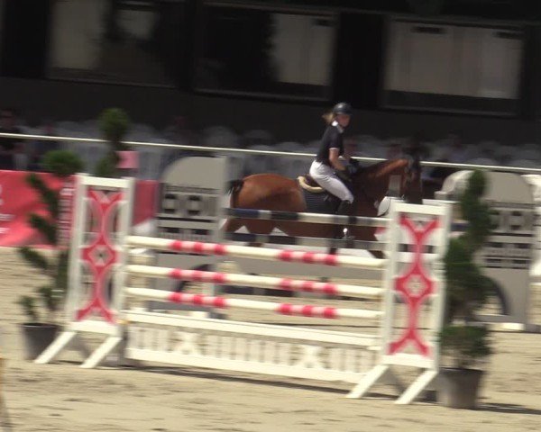 Reitturnier Vlotho-Exter 2025