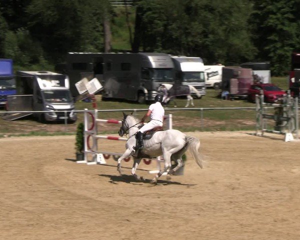 Reitturnier Bad Liebenstein/Sorga 2025