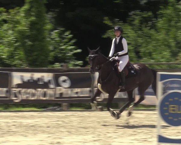 Reitturnier Vlotho-Exter 2025