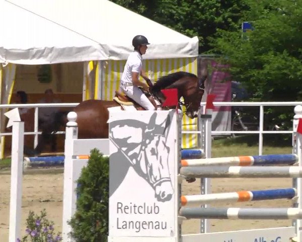 Großes Langenauer Reitturnier 2014