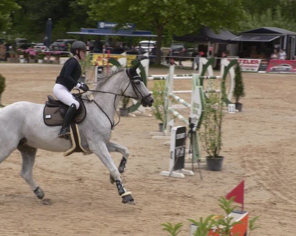 Reitturnier Heiligenwald 2025