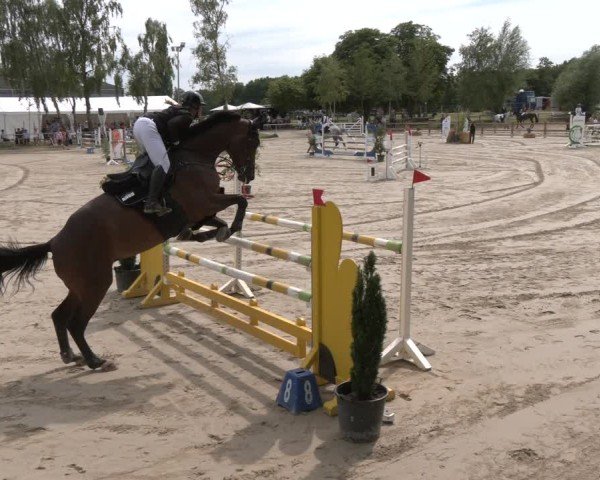 Reitturnier Herbern 2025