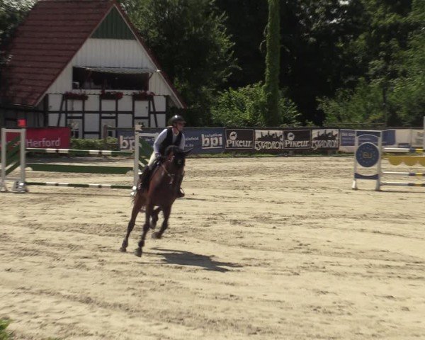 Reitturnier Vlotho-Exter 2025