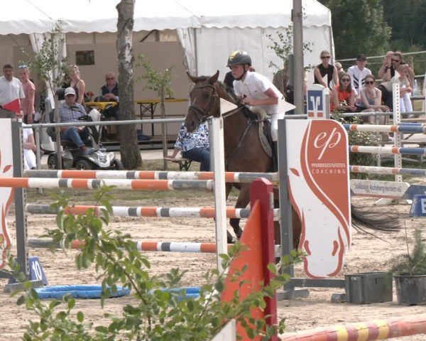 Reitturnier Herbern 2025