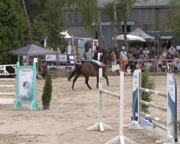 Reitturnier Herbern 2025