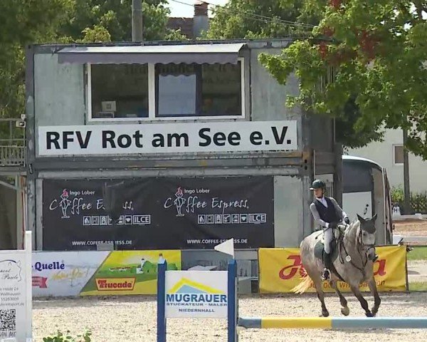 Reitturnier Rot am See- Musdorf 2025