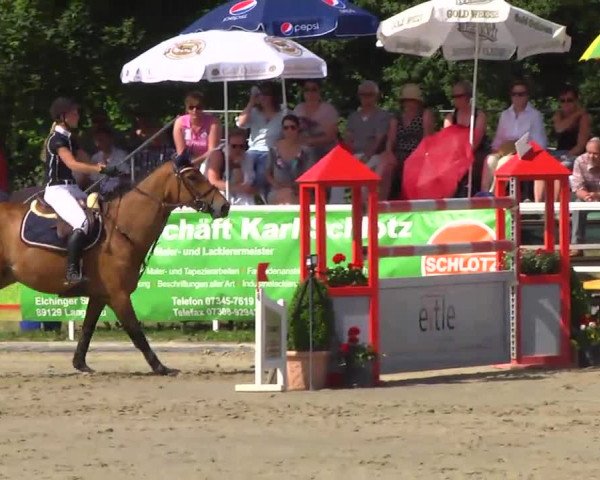 Großes Langenauer Reitturnier 2014