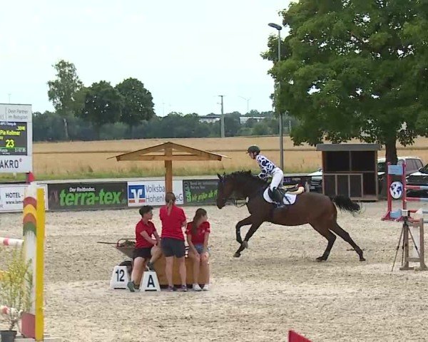 Reitturnier Rot am See- Musdorf 2025