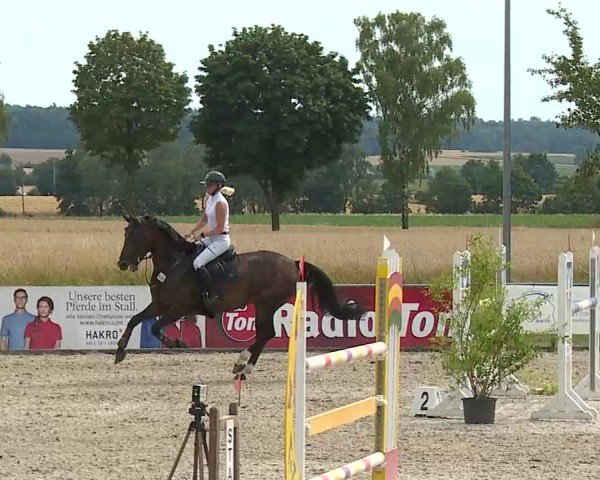 Reitturnier Rot am See- Musdorf 2025