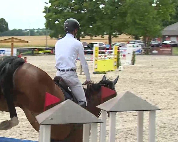 Reitturnier Rot am See- Musdorf 2025