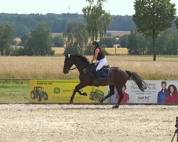 Reitturnier Rot am See- Musdorf 2025