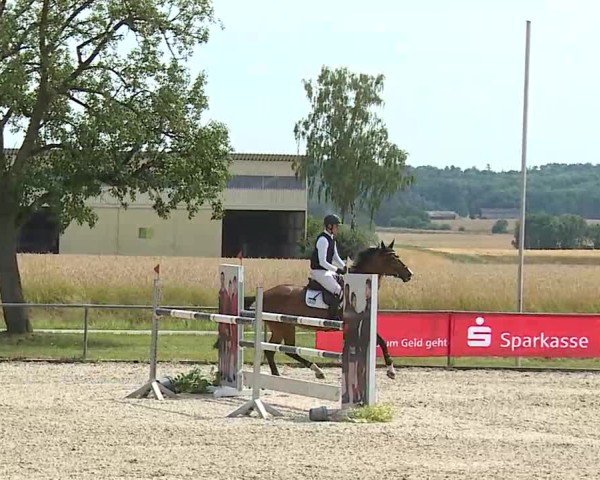 Reitturnier Rot am See- Musdorf 2025