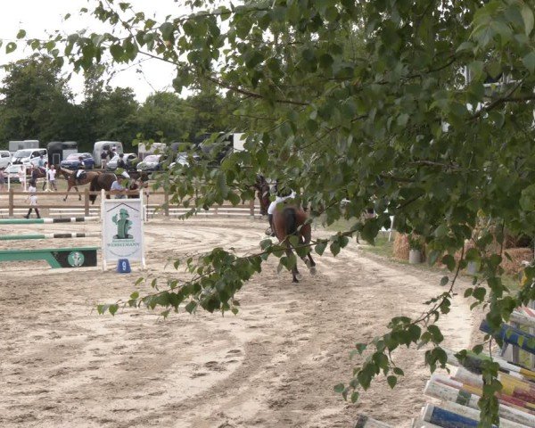 Reitturnier Herbern 2025