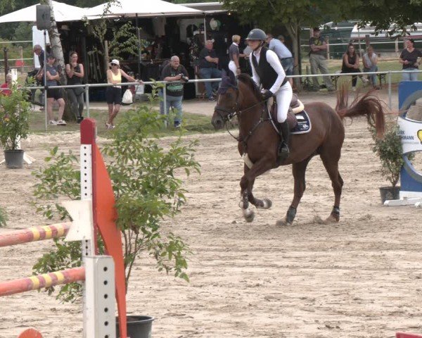 Reitturnier Herbern 2025