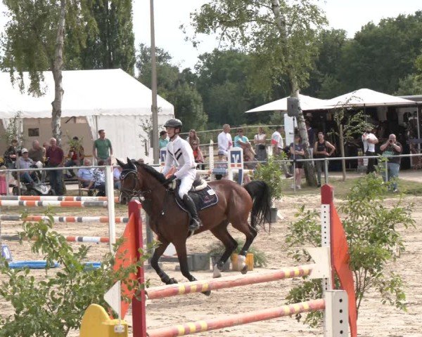 Reitturnier Herbern 2025
