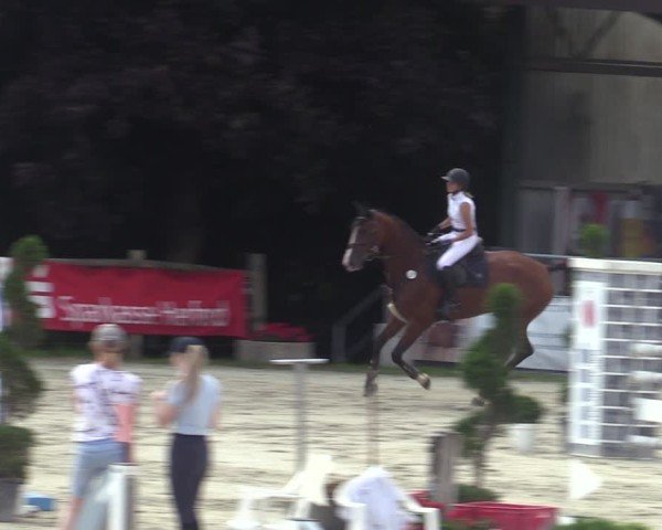 Reitturnier Vlotho-Exter 2025