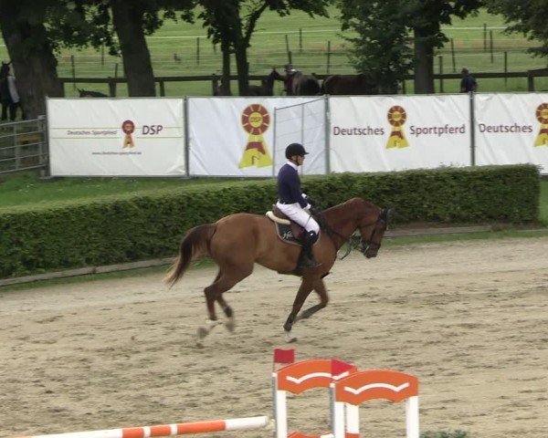 Reitturnier Neustadt/Dosse 2025