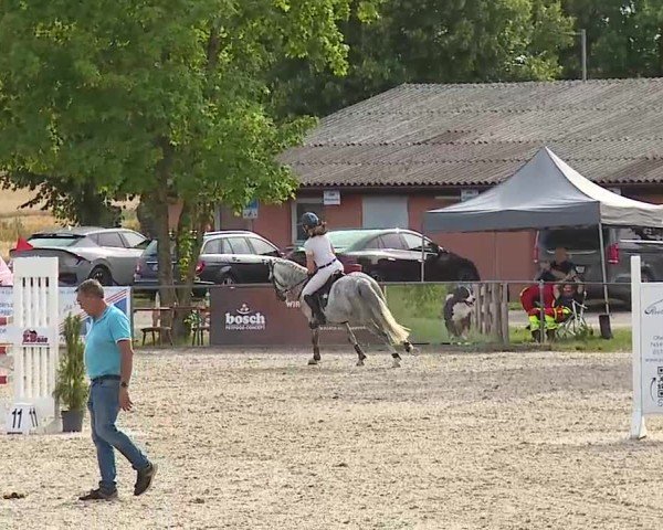 Reitturnier Rot am See- Musdorf 2025