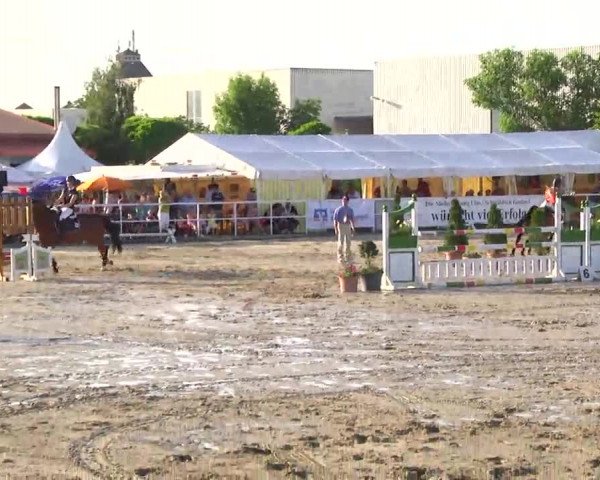 Großes Langenauer Reitturnier 2014