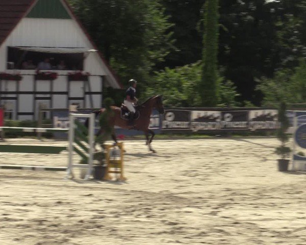 Reitturnier Vlotho-Exter 2025