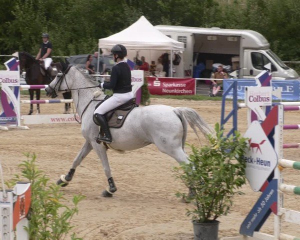 Reitturnier Heiligenwald 2025