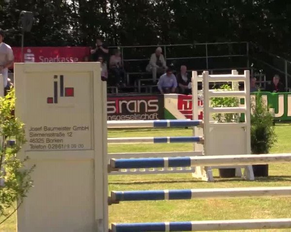 Pfingst - Dressur und Springturnier Borken 2014