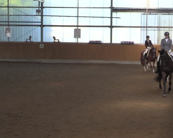 Reitturnier Herbern 2025