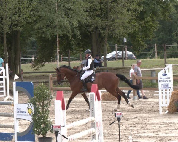 Reitturnier Herbern 2025