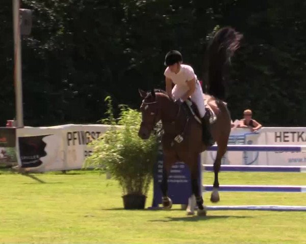 Pfingst - Dressur und Springturnier Borken 2014