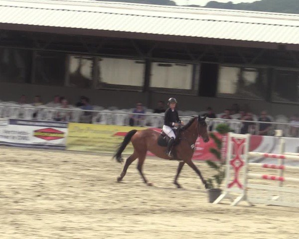 Reitturnier Vlotho-Exter 2025