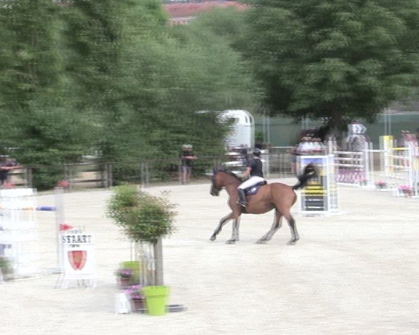 Reitturnier Würzburg/Ufr. 2025