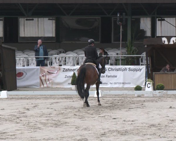 Reitturnier Vlotho-Exter 2025
