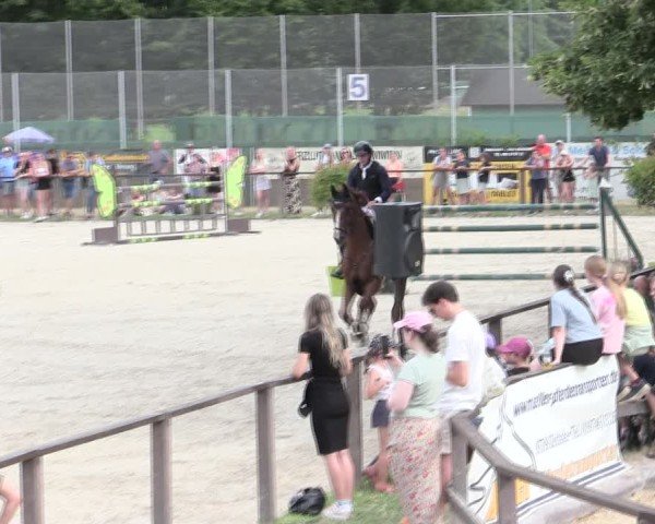 Reitturnier Würzburg/Ufr. 2025