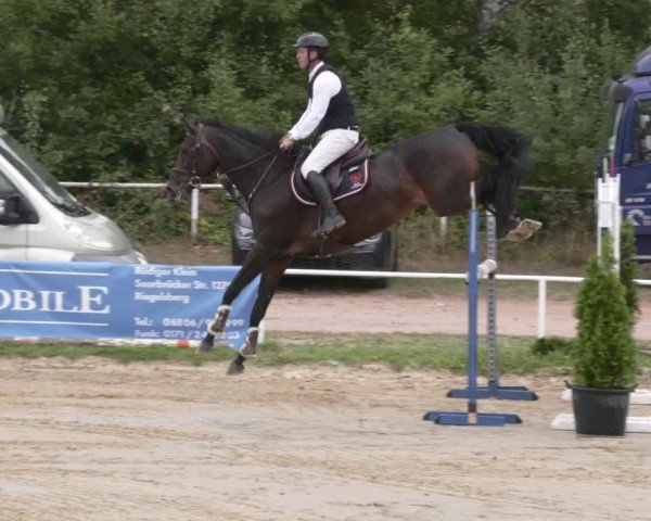 Reitturnier Heiligenwald 2025