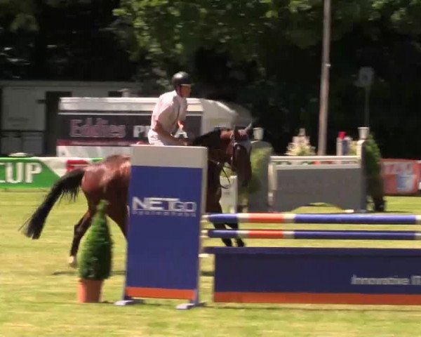 Pfingst - Dressur und Springturnier Borken 2014