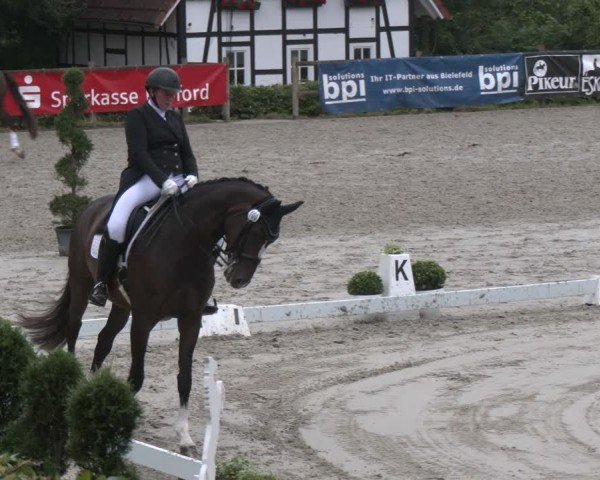 Reitturnier Vlotho-Exter 2025
