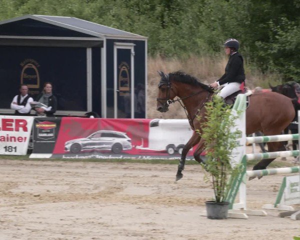 Reitturnier Heiligenwald 2025