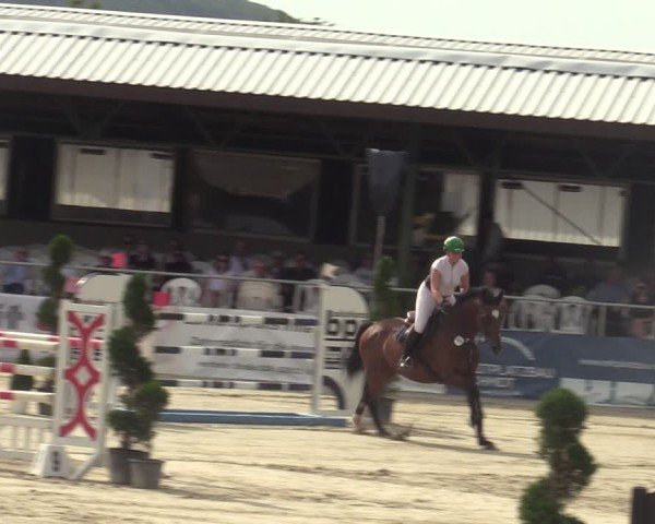 Reitturnier Vlotho-Exter 2025
