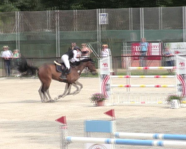 Reitturnier Würzburg/Ufr. 2025