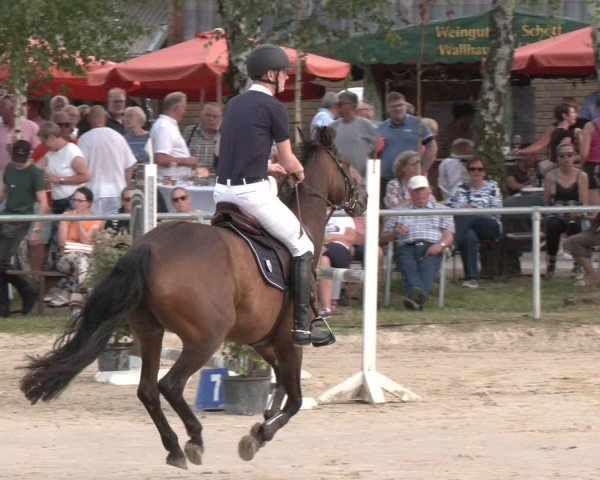 Reitturnier Herbern 2025