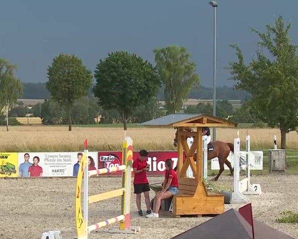 Reitturnier Rot am See- Musdorf 2025