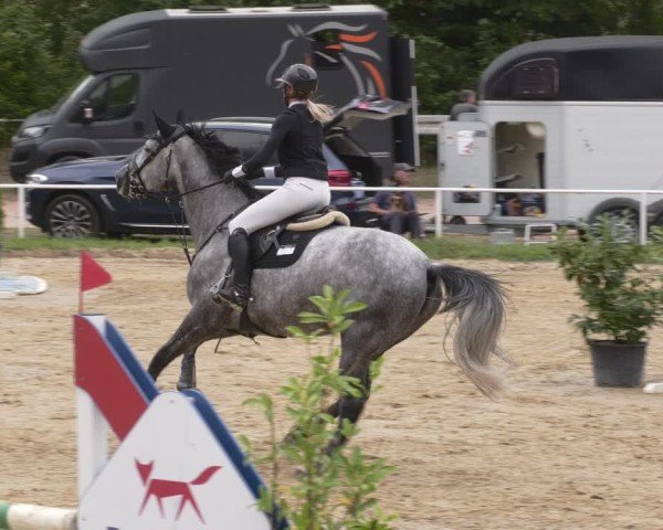 Reitturnier Heiligenwald 2025