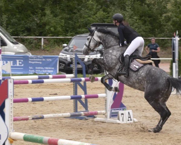 Reitturnier Heiligenwald 2025