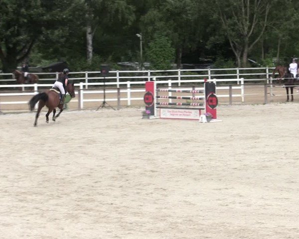Reitturnier Würzburg/Ufr. 2025