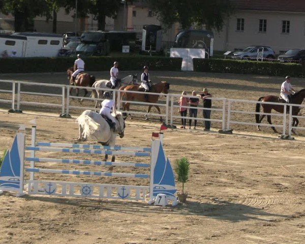 Reitturnier Neustadt/Dosse 2025