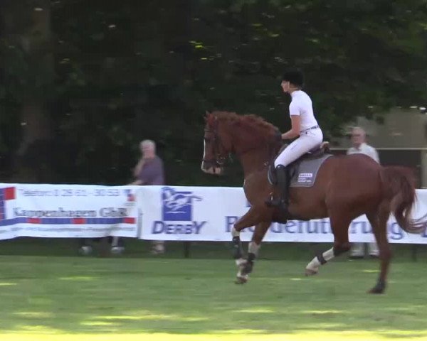 Pfingst - Dressur und Springturnier Borken 2014