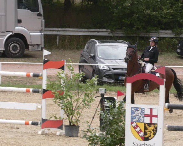 Reitturnier Heiligenwald 2025