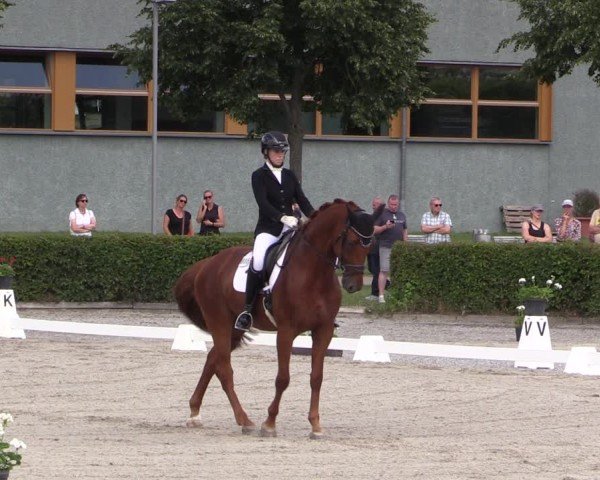 Reitturnier Neustadt/Dosse 2025